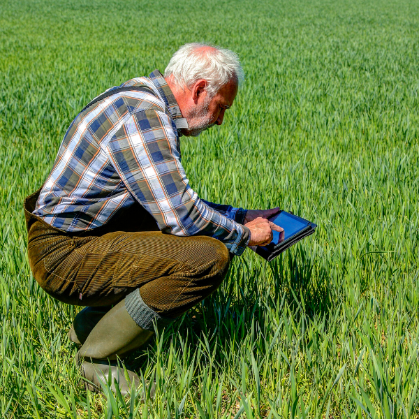 Man working on a farm with an iPad