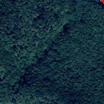 06. Дністровське водосховище (с. Пижівка). Карта глибин Preview 3