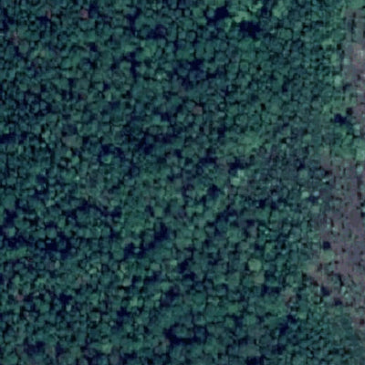 10. Дністровське водосховище (р. Ушиця, с Гута-Чугорська). Карта глибин Preview 3