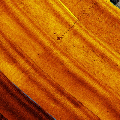Oranje South 22 Preview 3