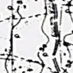 Inanda Dam KZN Section V02 Preview 2