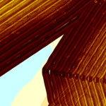 Van Driel 12 Preview 1