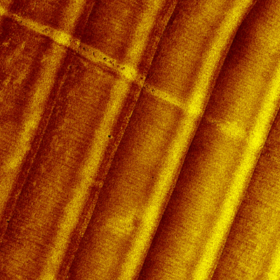 Van Driel 13 Preview 2