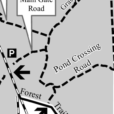 Thomas Creek WMA - Kings Road Unit Brochure Map Preview 3