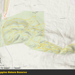 Melville Koppies Nature Reserve Preview 1