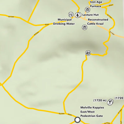 Melville Koppies Nature Reserve Preview 2