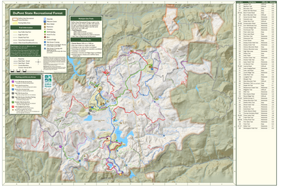 DuPont State Recreational Forest by FODF Preview 1