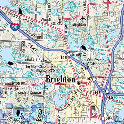 Michigan Atlas & Gazetteer Page 101 Preview 3