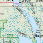 Michigan Atlas & Gazetteer Page 38 Inset Preview 3