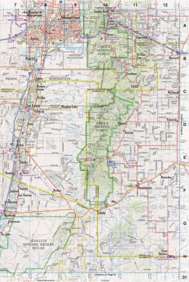Garmin New Mexico Atlas & Gazetteer Page 31 digital map