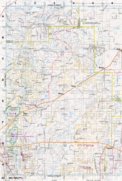 New Mexico Atlas & Gazetteer Page 42 Preview 1