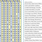Tennessee_Gazetteer Preview 2