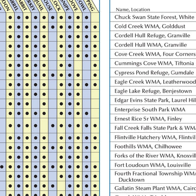Tennessee_Gazetteer Preview 2