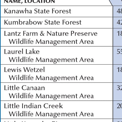 West Virginia GAZ page 2 Preview 3