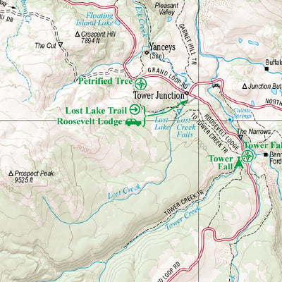 WY Yellowstone Detail Map Preview 3