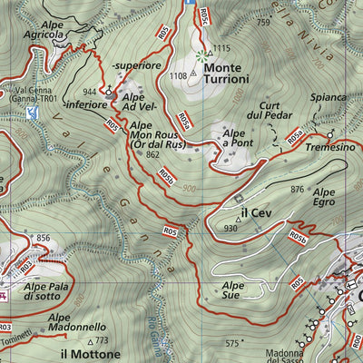 Geo4map Alto Verbano hiking map 1:25000 n.115 digital map