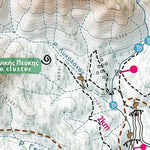 Geopsis Maps & Guides of Greece Frakto Virgin Forest 1:22.000 digital map