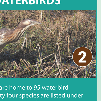 Glenelg Estuary Discovery Bay Ramsar Site - Boundary and Values Preview 3