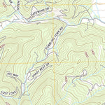Great Smoky Mountains National Park NPS/USGS 2016 Dellwood Topographic Map digital map