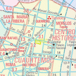 Guia Roji CDMX-DF / Estado / 9 digital map