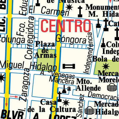 Guia Roji Celaya - Centro bundle exclusive