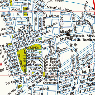 Guia Roji El Salto / Municipio / Jalisco digital map