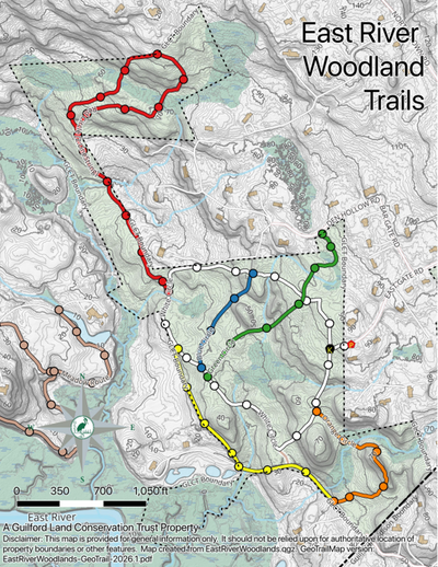GLCT East River Woodlands Trails Preview 1