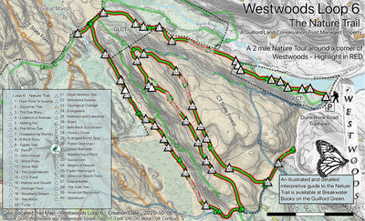GLCT Westwoods Loop 6 Preview 1
