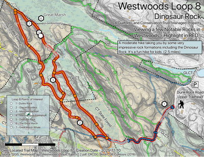 GLCT Westwoods Loop 8 Preview 1