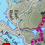 Haliburton Ultra Race - 12km & 16km Preview 2