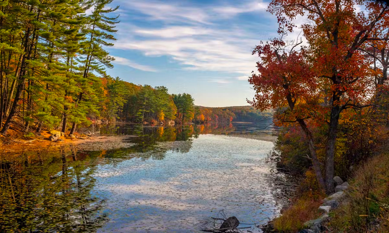 Harriman State Park