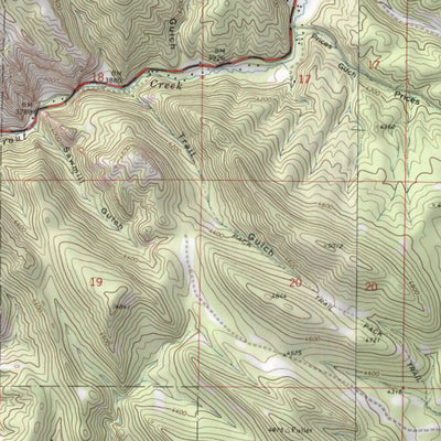 Hauser Base MLM Preview 2