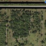 Hillsborough County Conservation and Environmental Lands Management Cockroach Bay Nature Preserve Trail Map digital map