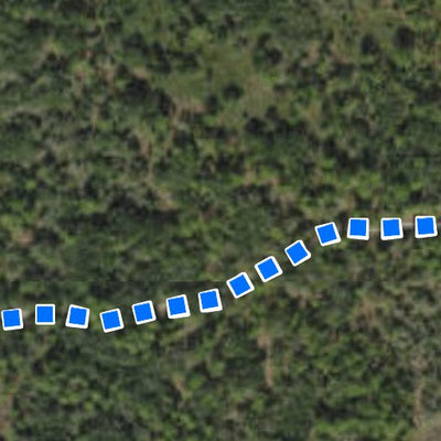 Hillsborough County Conservation and Environmental Lands Management Cockroach Creek Greenway Nature Preserve Trail Map digital map