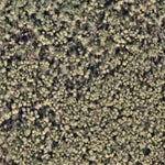 Morris Bridge Conservation Park Trail Map Preview 3