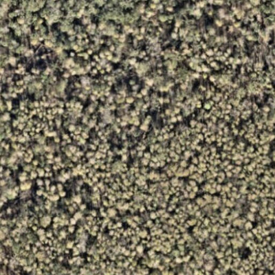 Morris Bridge Conservation Park Trail Map Preview 3