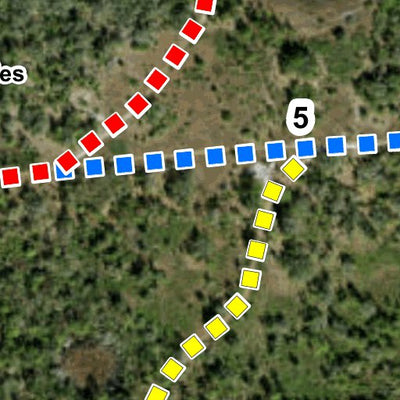 Hillsborough County Conservation and Environmental Lands Management Rhodine Scrub Nature Preserve Trail Map digital map