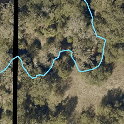 Hillsborough County Conservation and Environmental Lands Management Rocky Creek Trails Nature Preserve Trail Map digital map