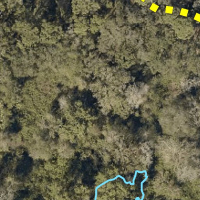 Hillsborough County Conservation and Environmental Lands Management Rocky Creek Trails Nature Preserve Trail Map digital map