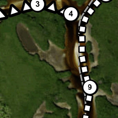 Upper Tampa Bay Conservation Park - Paddling Trail Map Preview 2