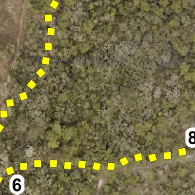 Hillsborough County Conservation and Environmental Lands Management Violet Cury Nature Preserve Trail Map digital map