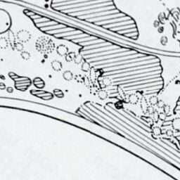 Korsgata gravfält Preview 2