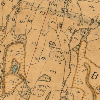 Historiska GIS-kartor 13-fag-49 Björkhult digital map