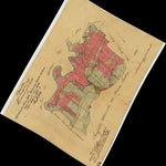 Historiska GIS-kartor 13-IDA-19b Lia digital map