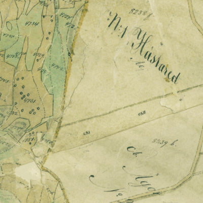 Historiska GIS-kartor 13-ons-110d Onsala digital map