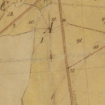 Historiska GIS-kartor 13-TRÄ-41 Nygård digital map
