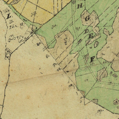 Historiska GIS-kartor 13-TRÄ-54 Apelvik digital map
