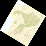 Historiska GIS-kartor M60-3.1 Arvidstorp digital map