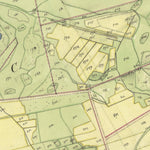 Historiska GIS-kartor M70-13.1 Södra Näs digital map