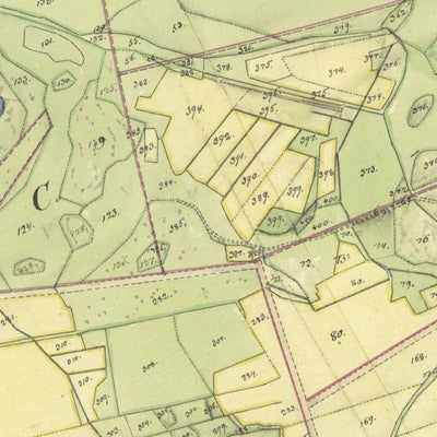 Historiska GIS-kartor M70-13.1 Södra Näs digital map